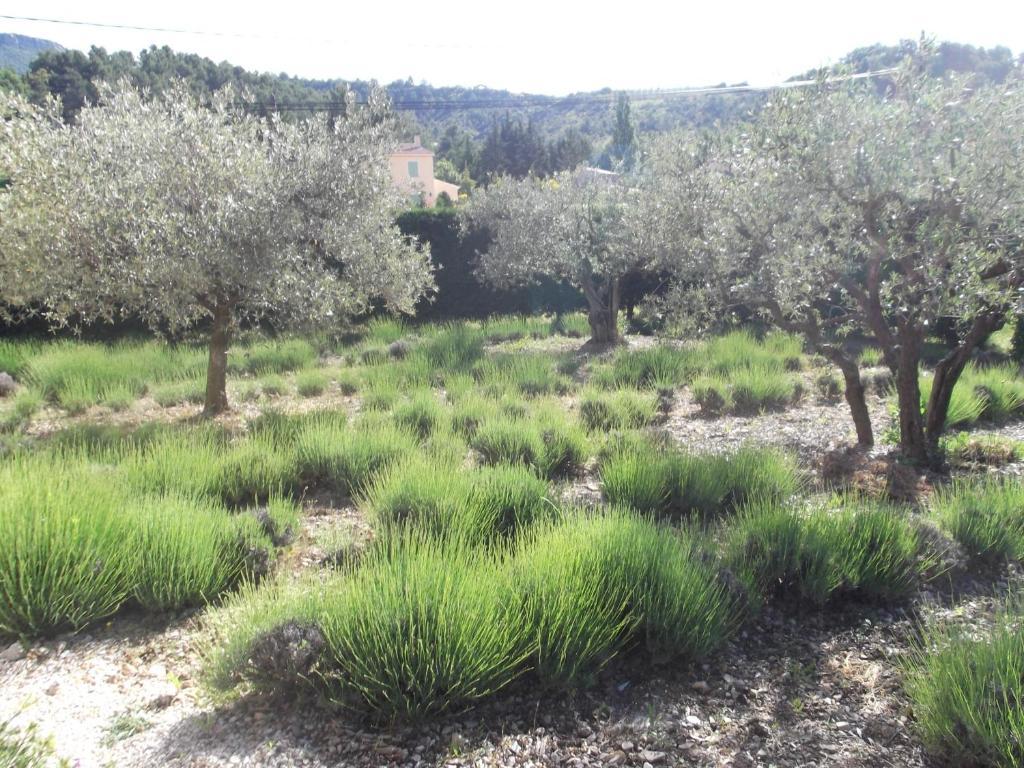 La Serenade Buis-les-Baronnies Extérieur photo